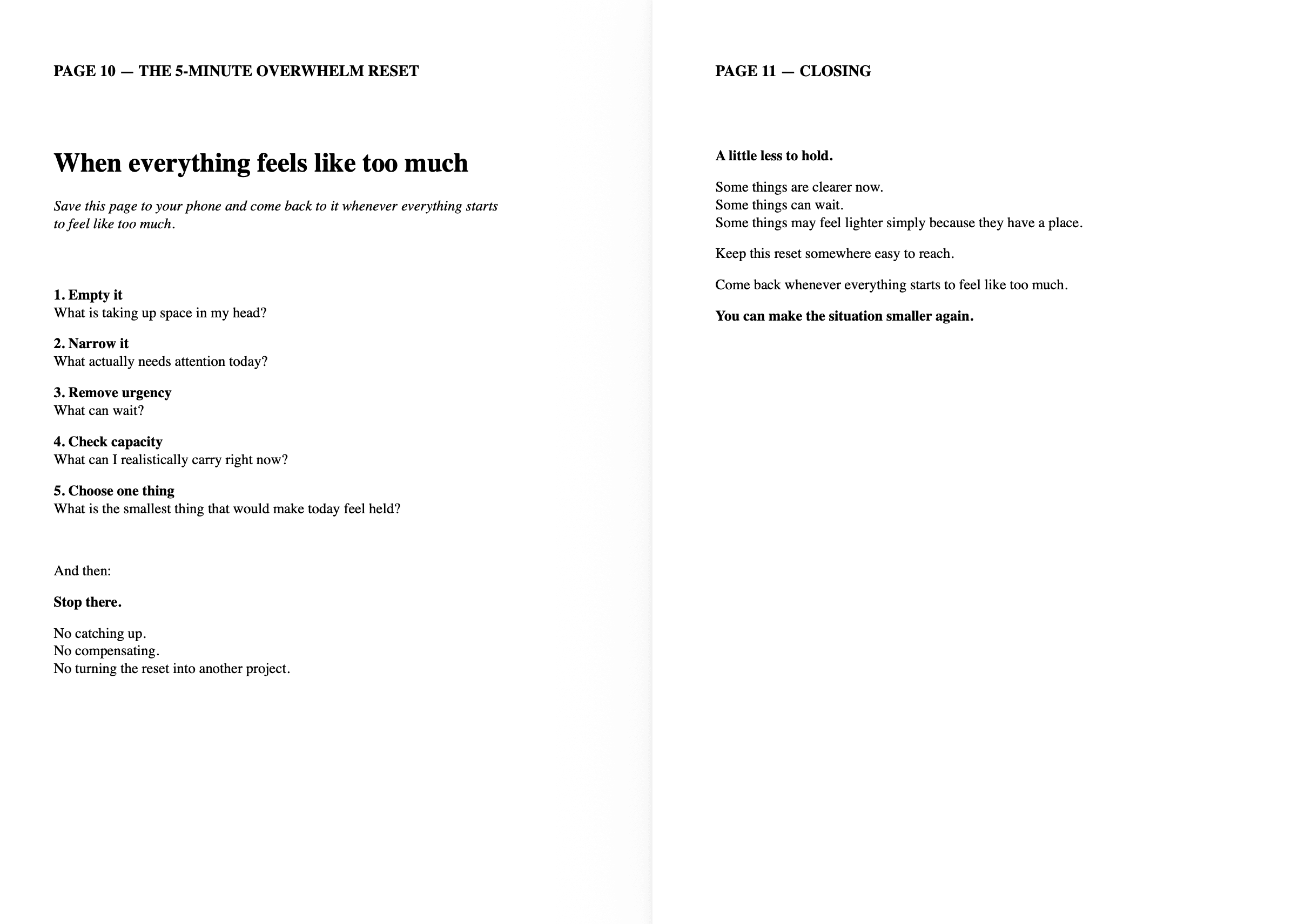 The Overwhelm Reset interior preview 3